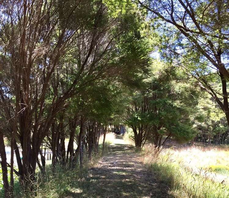 98a Corlett Road Tauhoa_9