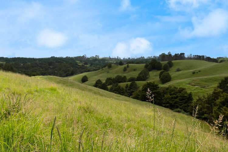 Lot 2/347 Porter Road Paparoa_18