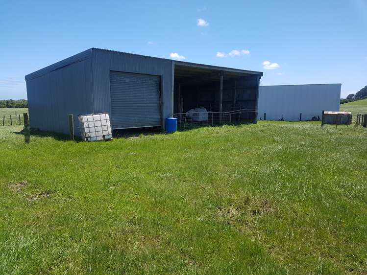 139 Bayly Road Warea_19