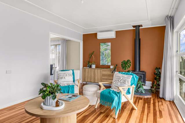 61 Wildish Street Outer Kaiti_3