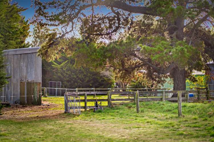 321 Southbridge Leeston Road Leeston_29