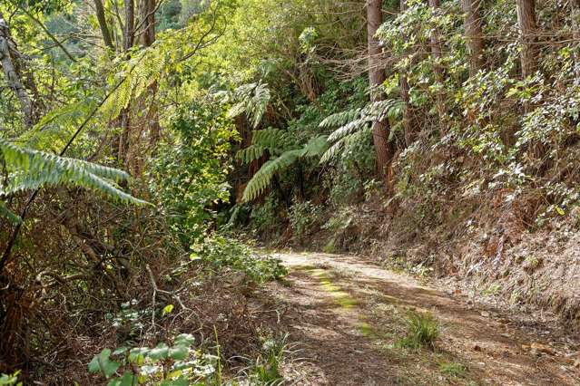 Takaka Hill Takaka Hill_4