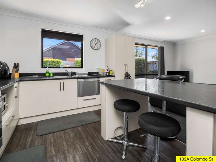 103 Colombo Street Somerfield_12