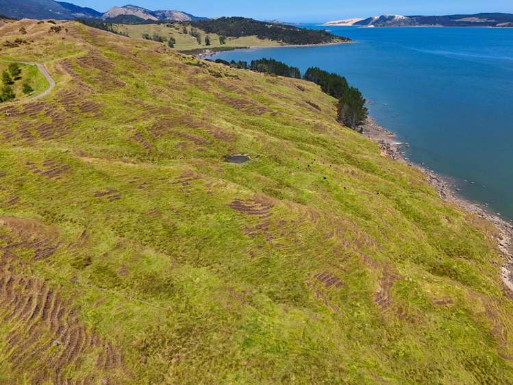 Brindle Road Opononi_1