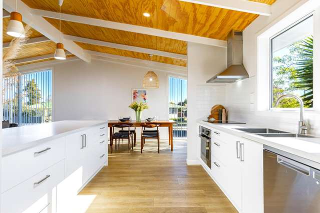 105 Scott Street Blenheim_2