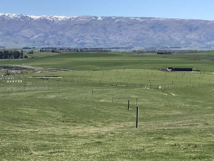 3066 Lauder-Omakau Road Omakau_5