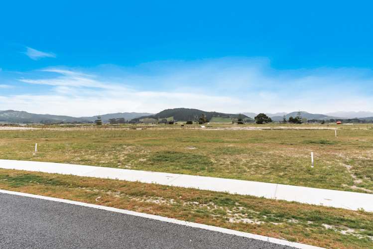 202 Harbour Drive Matarangi_26