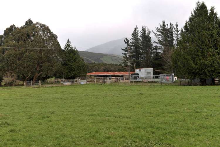 915 Aorere Valley Road Kahurangi National Park_25