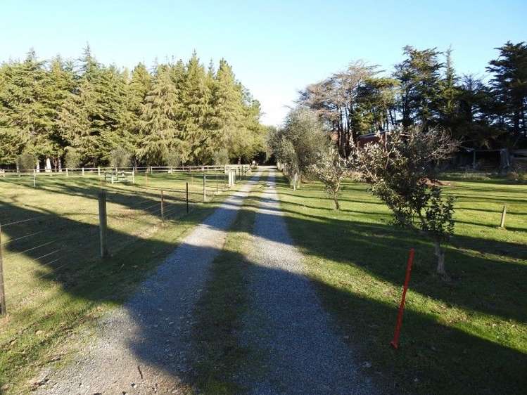 448 Northbank Road Kaituna_18