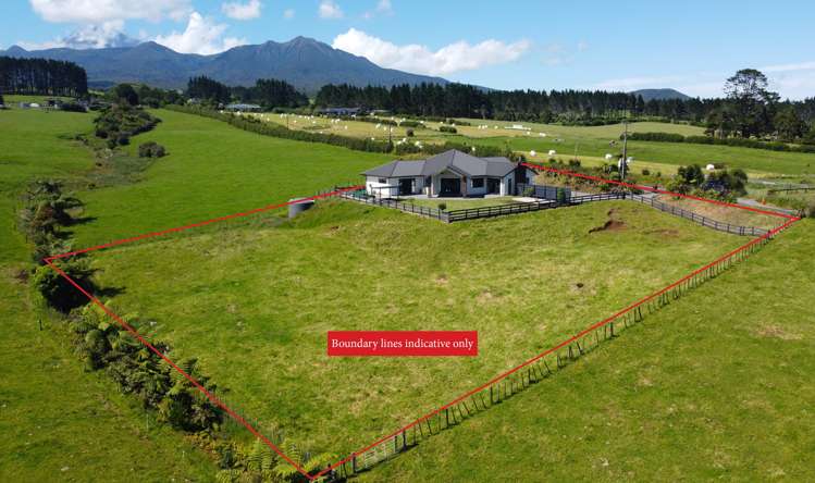 713 Plymouth Road Koru_3