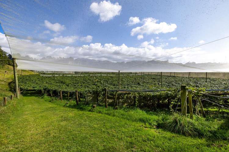 1151 Oreipunga Road Maungatautari_21