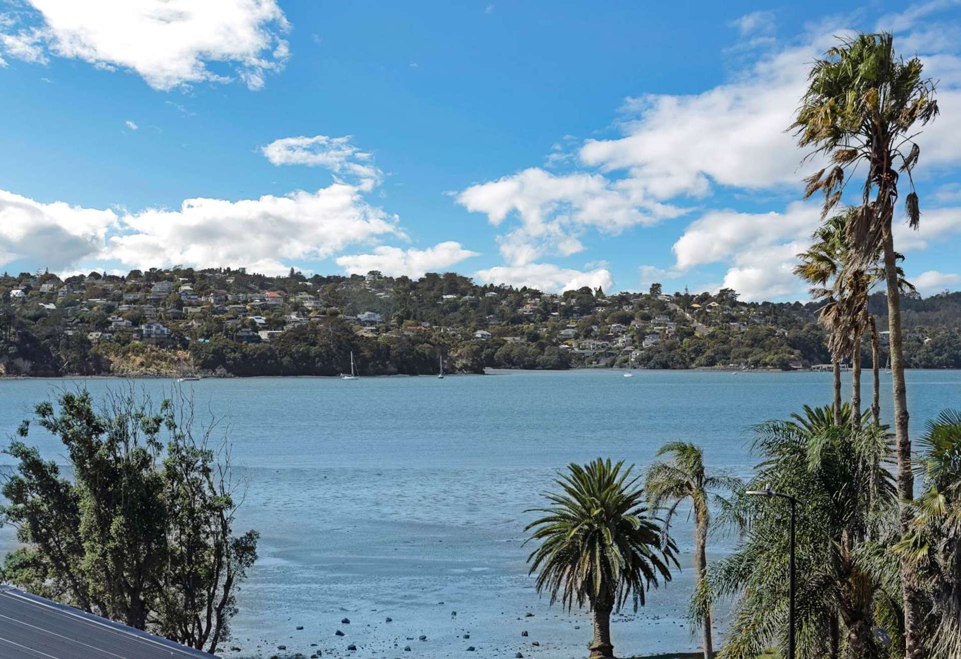 56 Observation Green Hobsonville_0