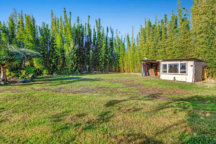 257 Pine Valley Road Dairy Flat_13