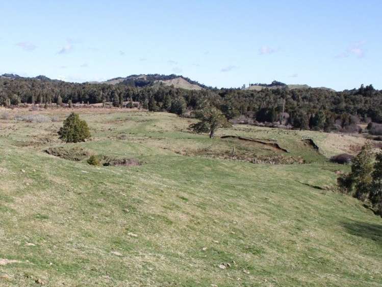 1427 Waitaanga Road Ohura_20