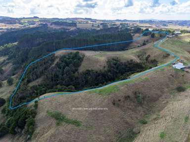 352 Kauri Road_3