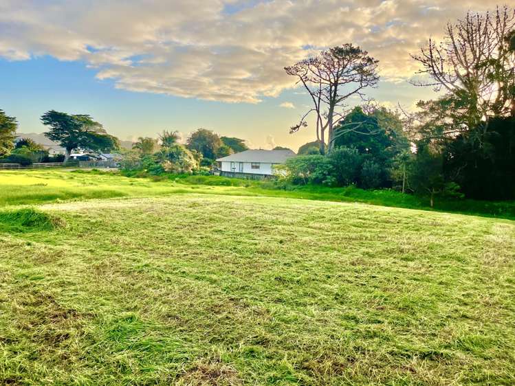 Lot 14 Albatross Alley_2