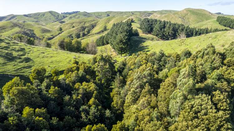 124 Alfredton Road Eketahuna_16