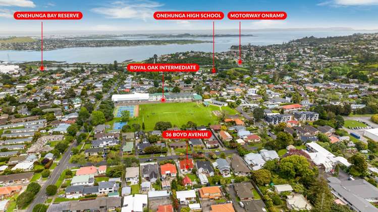 36 Boyd Avenue Royal Oak_2