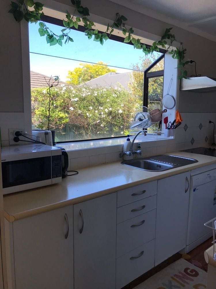 22 Pearsons Avenue Claudelands_12