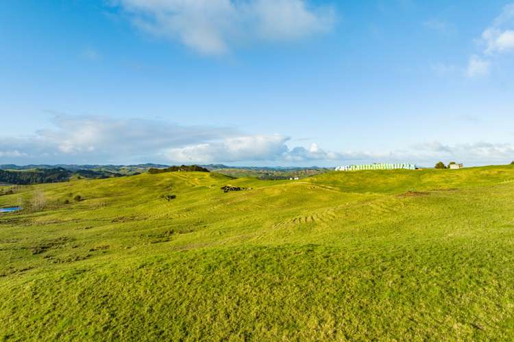 85 Lusk Road Ruawai_13