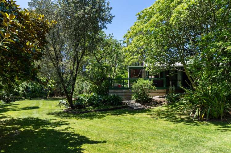 358 Valley Road Whataupoko_18