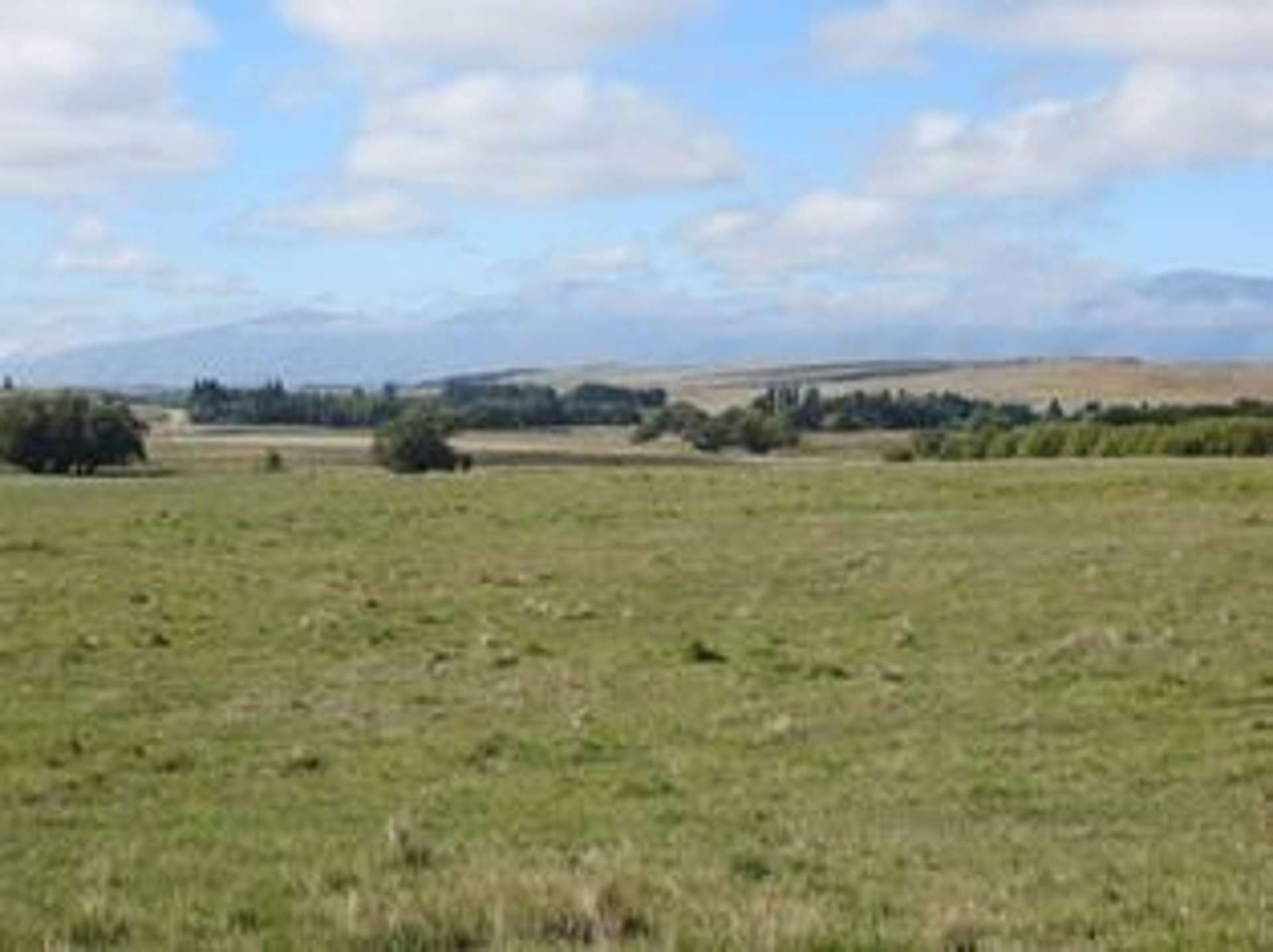 Tregonning Road Otago_0