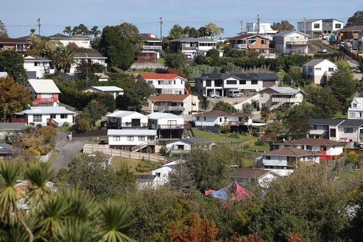 Healthy Homes: ‘They’re paying $250 for an assessment - there’s no guarantee it means anything’