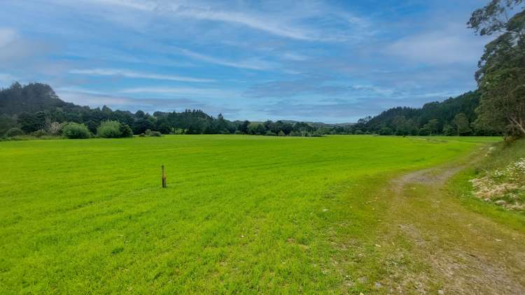 10 ha Peach Orchard Road Whakapara_19