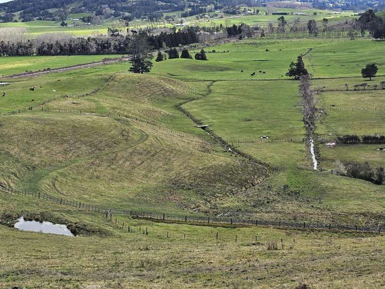 113C Marua Road Hikurangi_28