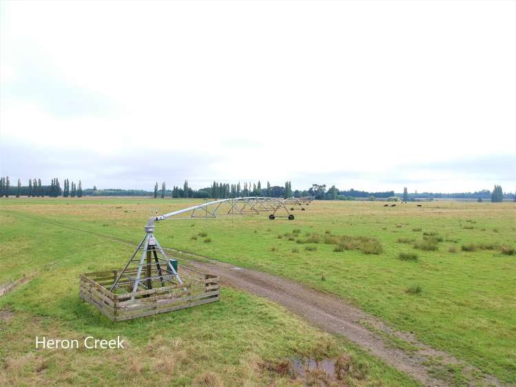 3389 State Highway 2 Takapau_17