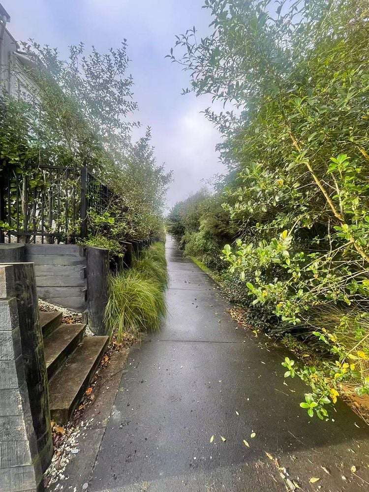 31 Lemon Tree Lane Flat Bush_1