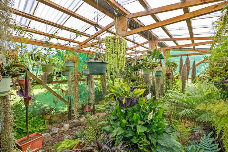 234 Waiotoi Road Ngunguru_7