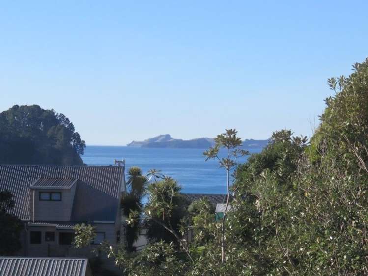 324 Onemana Drive Onemana_2