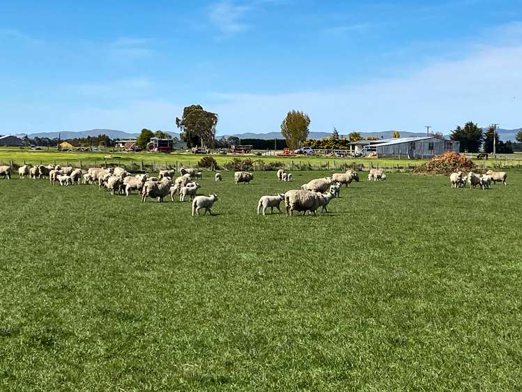 192 Beck Road Balfour_5