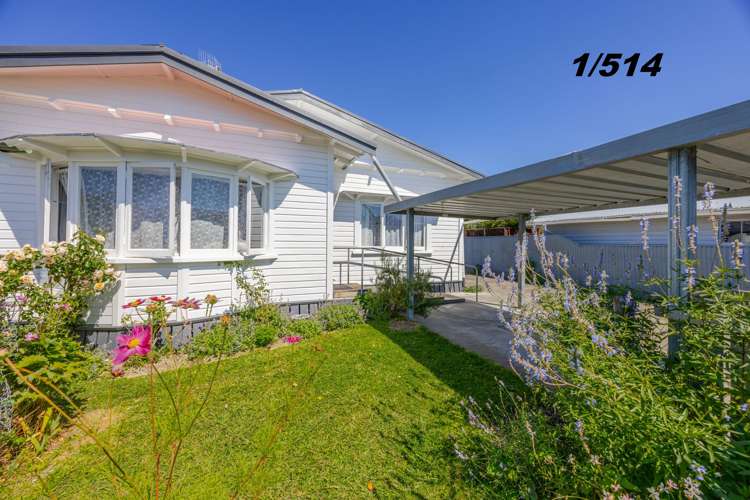 1/514 Whitehead Road Hastings_9