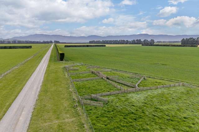 2330 Oxford Road Cust_2