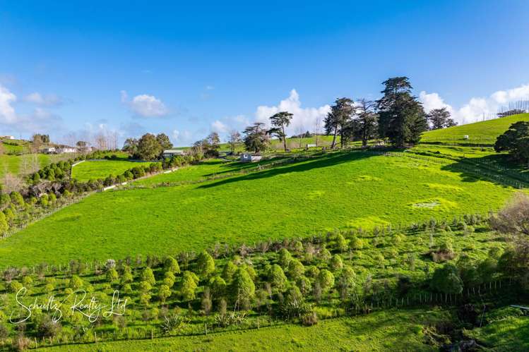 Petley Road Paparoa_16