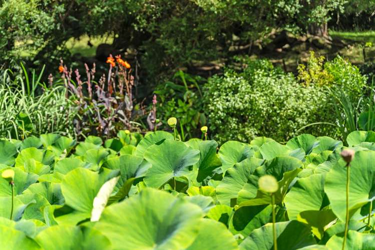 304 Mangakahia Road Maungatapere_24