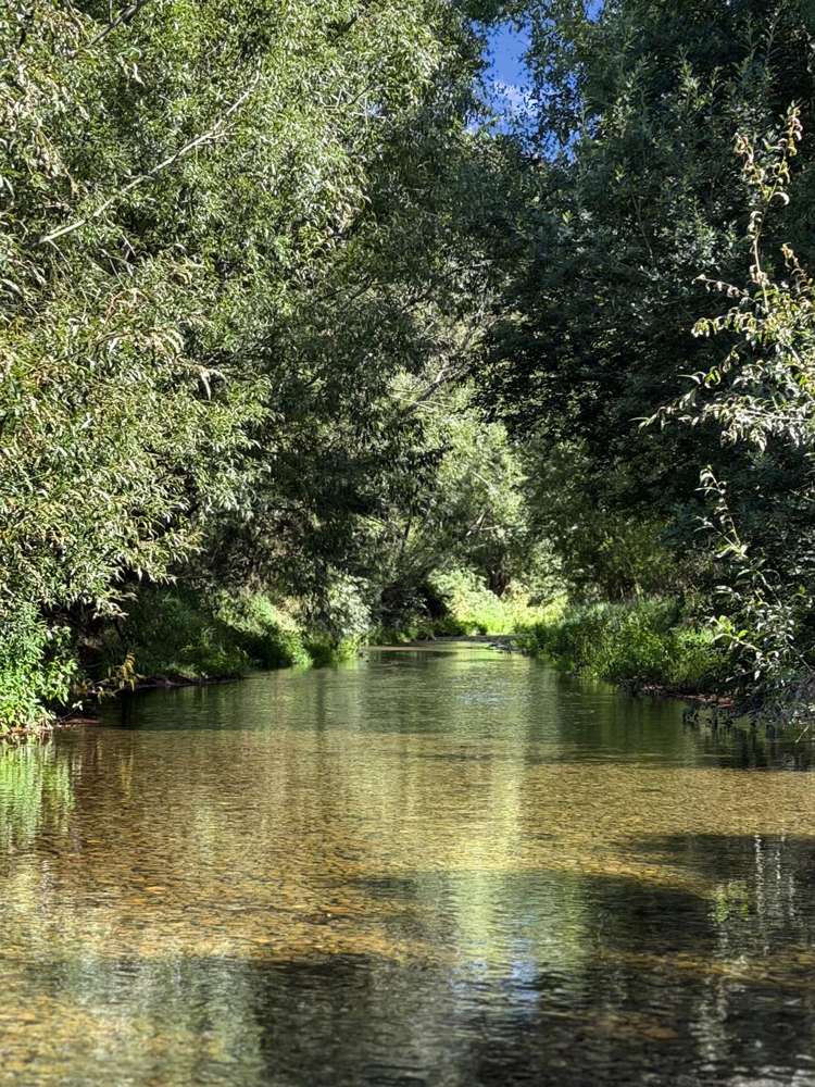 59 Rands Road Fernside_30