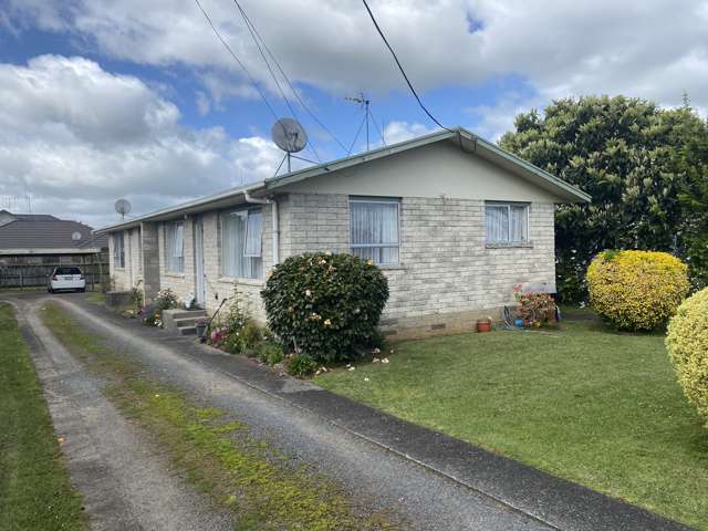 1a Snell Street Morrinsville_1