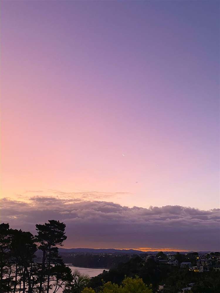 37a Sylvania Crescent Lynfield_30