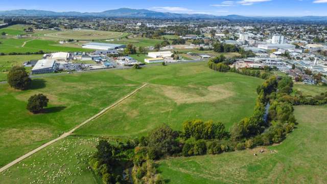 641 Paterangi Road Te Awamutu_3