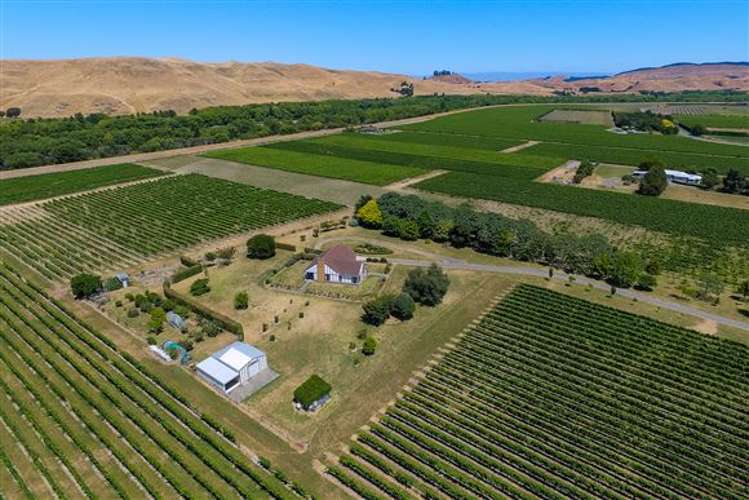 457 Dartmoor Road Puketapu_3