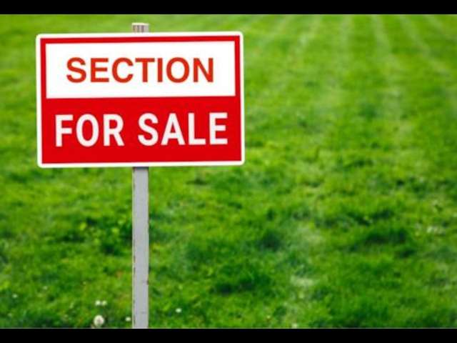 Section for Sale!