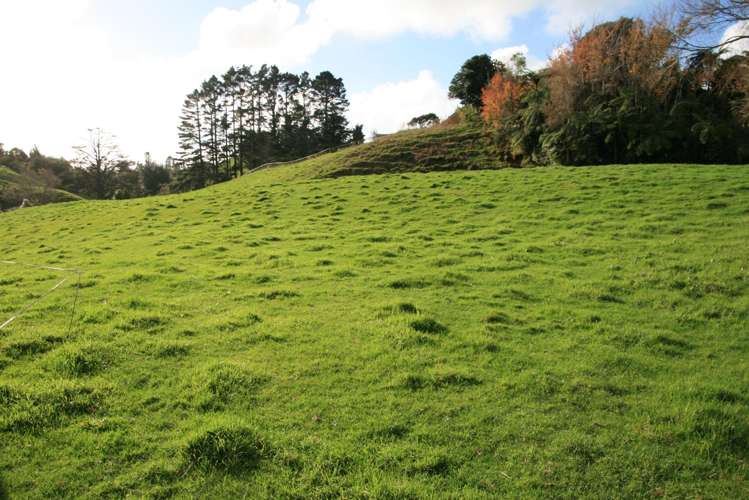 562 Frankley Road Hurworth_6