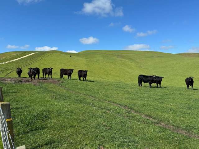 989 Raukawa Road Raukawa_2