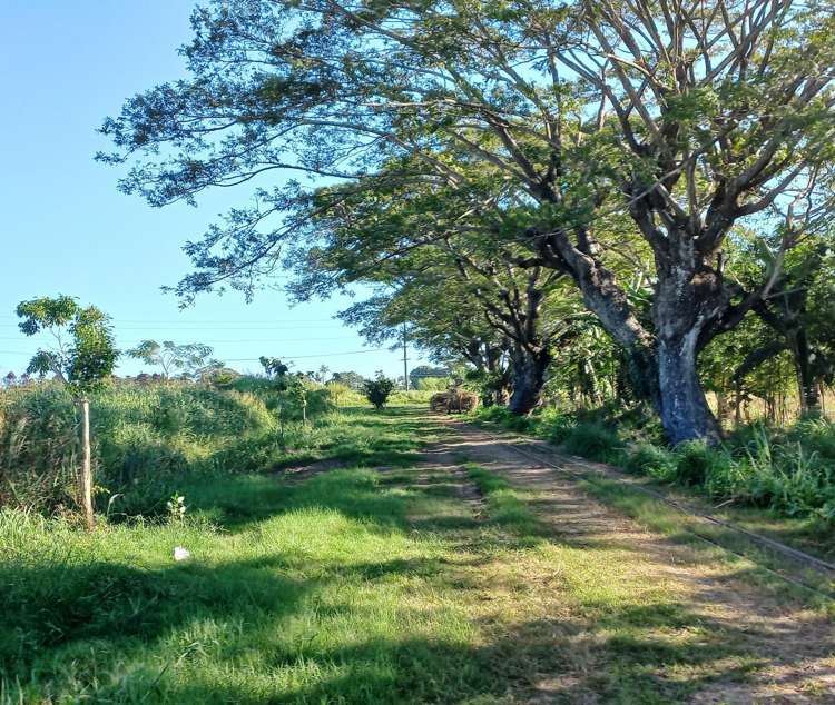 2 Nadi Back Road Fiji_3