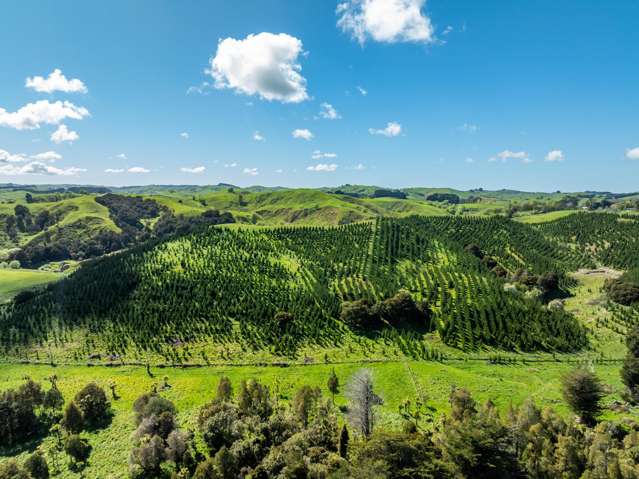 Porangahau Road Wallingford_2