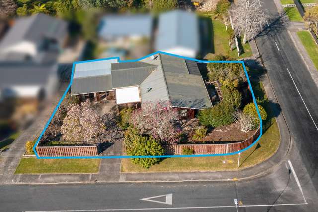 Opportunity Knocks: Renovate or Subdivide