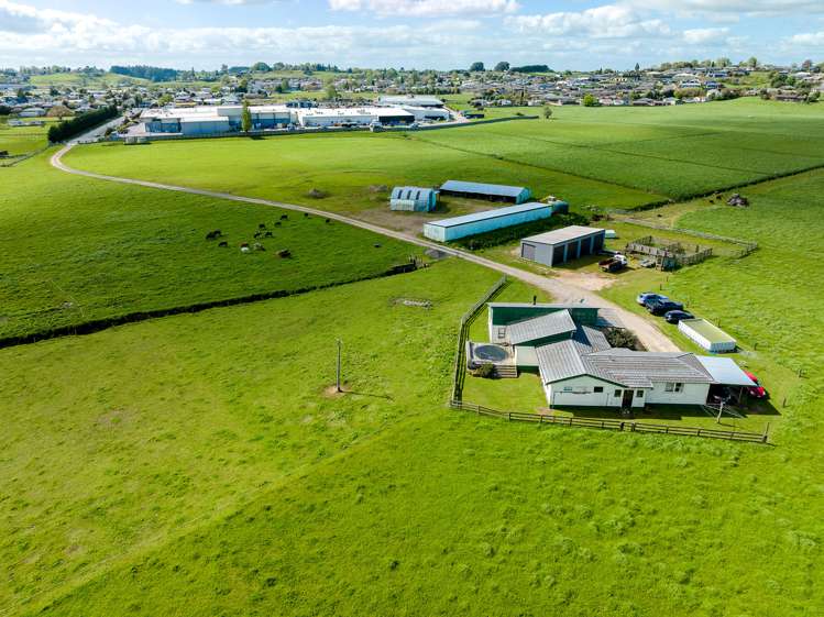 650 Cambridge Road Te Awamutu_11